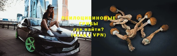 крисы Алексеевка